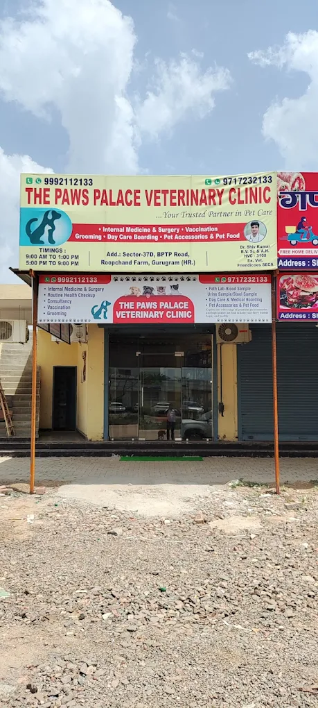 The Paws Palace Veterinary Clinic