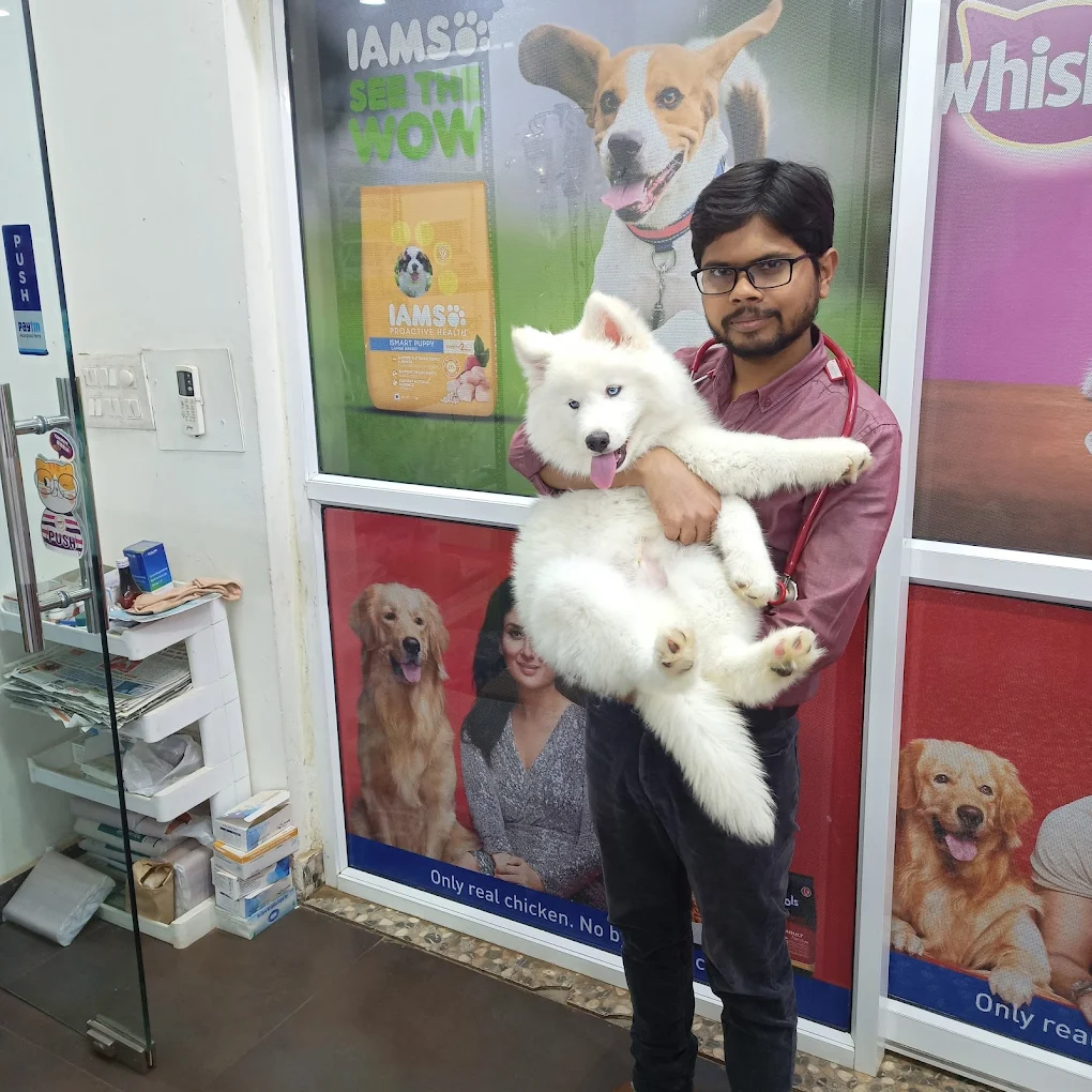 PAWSITIVE VETERINARY HOSPITAL