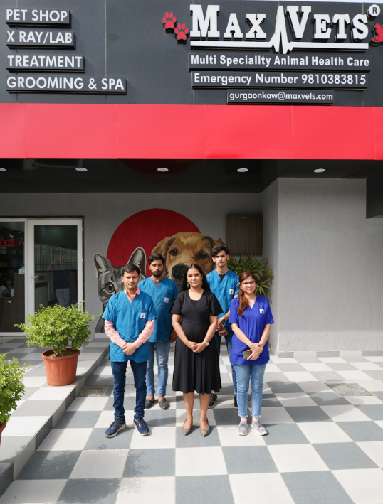 MaxPetZ Palam Vihar Gurugram