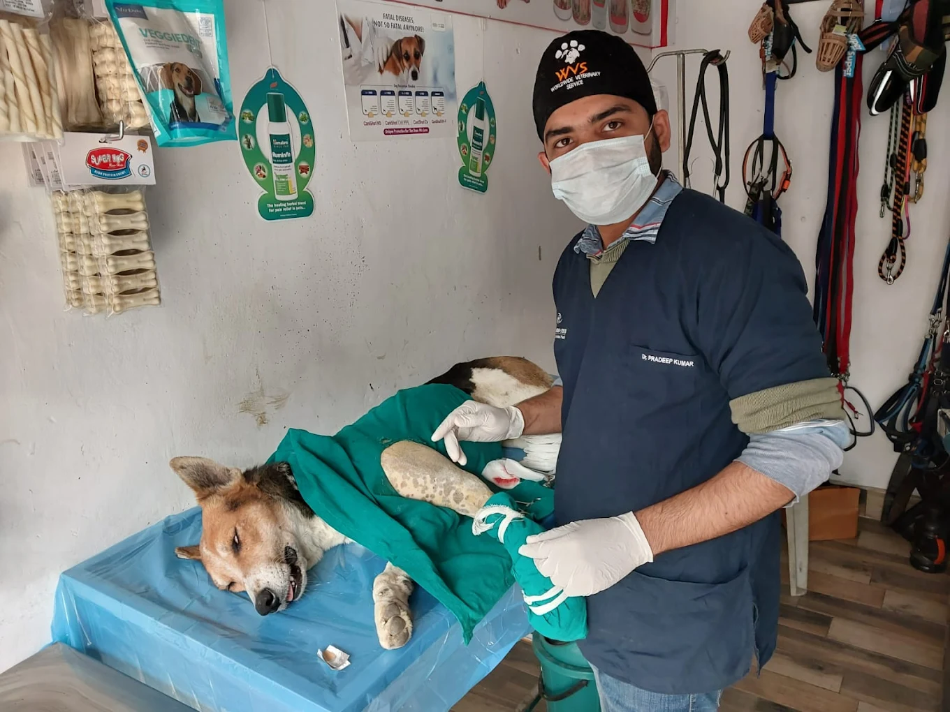 Om Pet Clinic