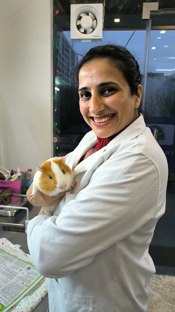 HAPPY PAWS PET CLINIC