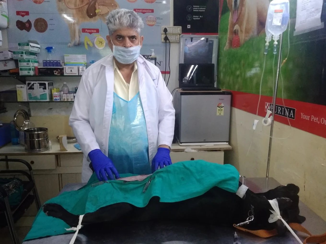 Vetopia Pet Clinic & Surgery Centre