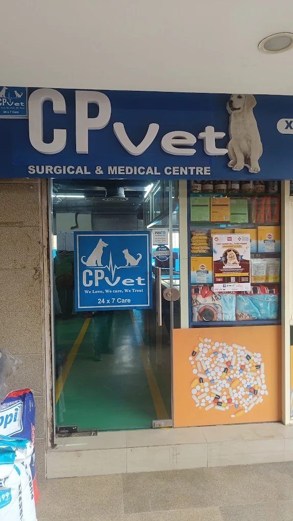CP Vet Sector 47