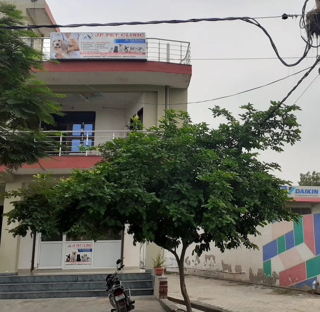 JP Pet Clinic (Atar Singh Chowk)