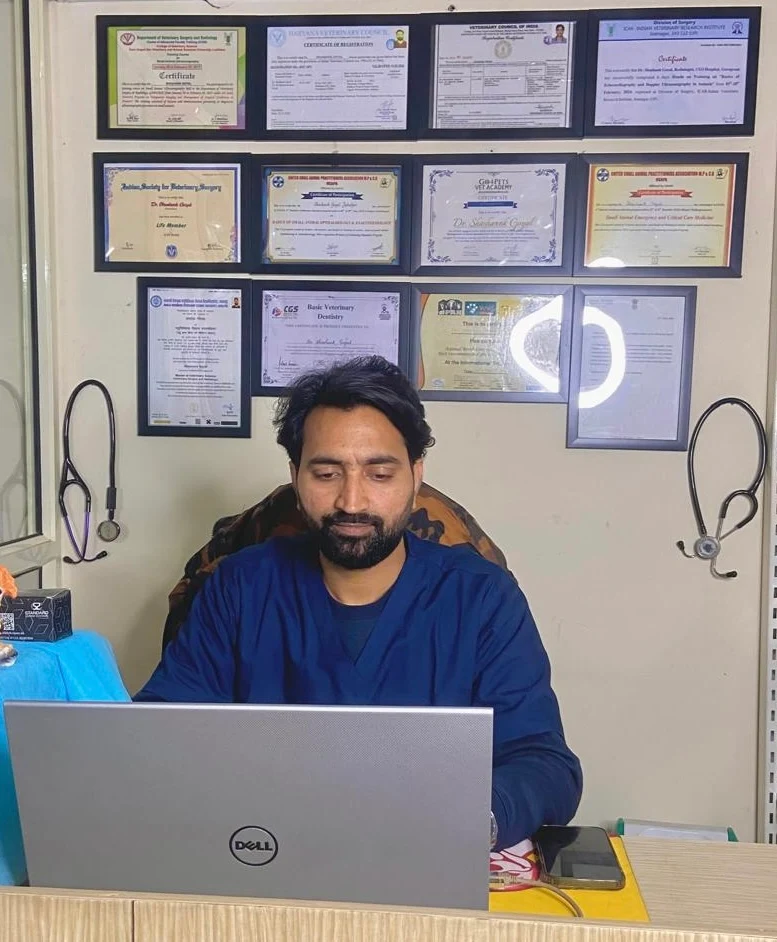 Blue Coat Vet Clinic | Sushant Lok in Gurgaon