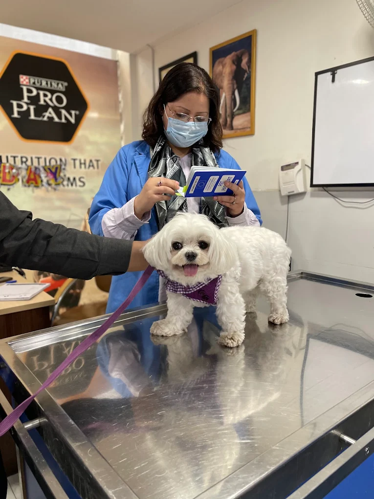 SJS Pet Care and Clinic