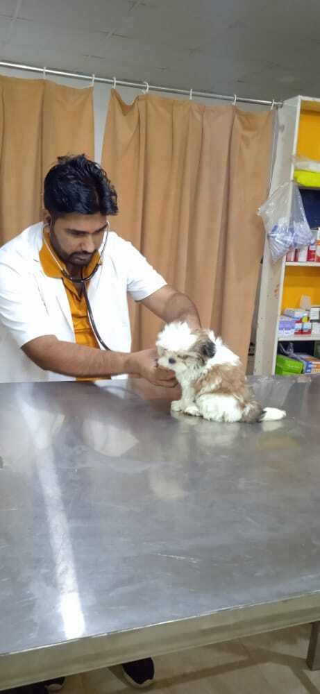 Pet's own Place.