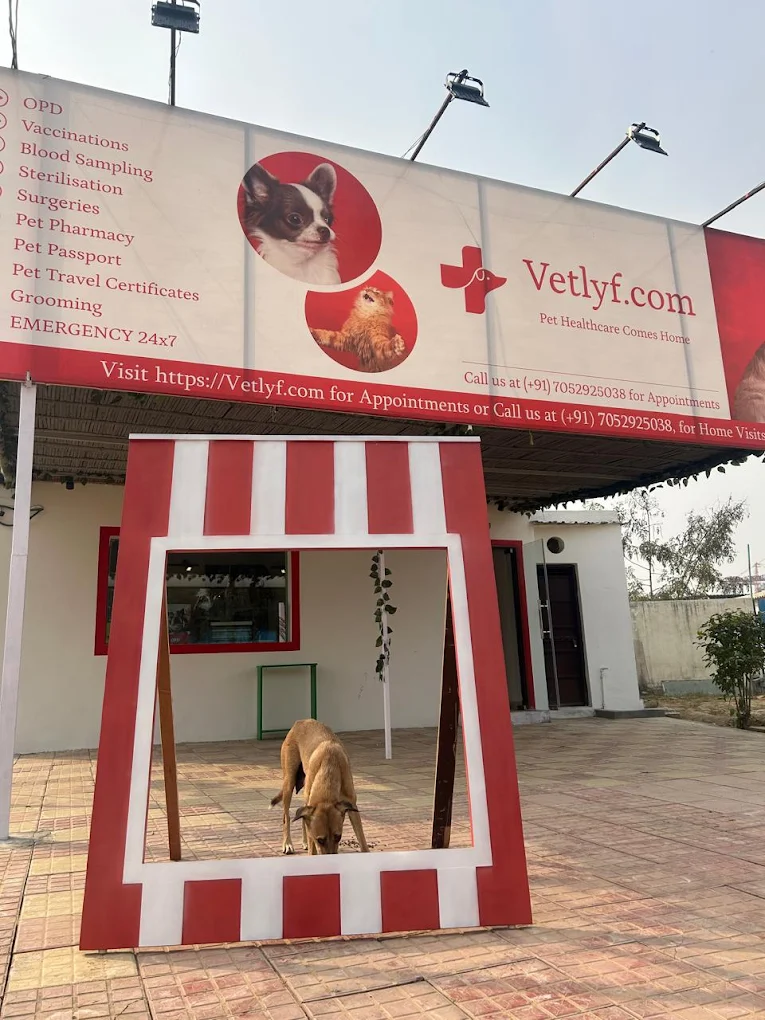 Vetlyf Pet Clinic & Healthcare