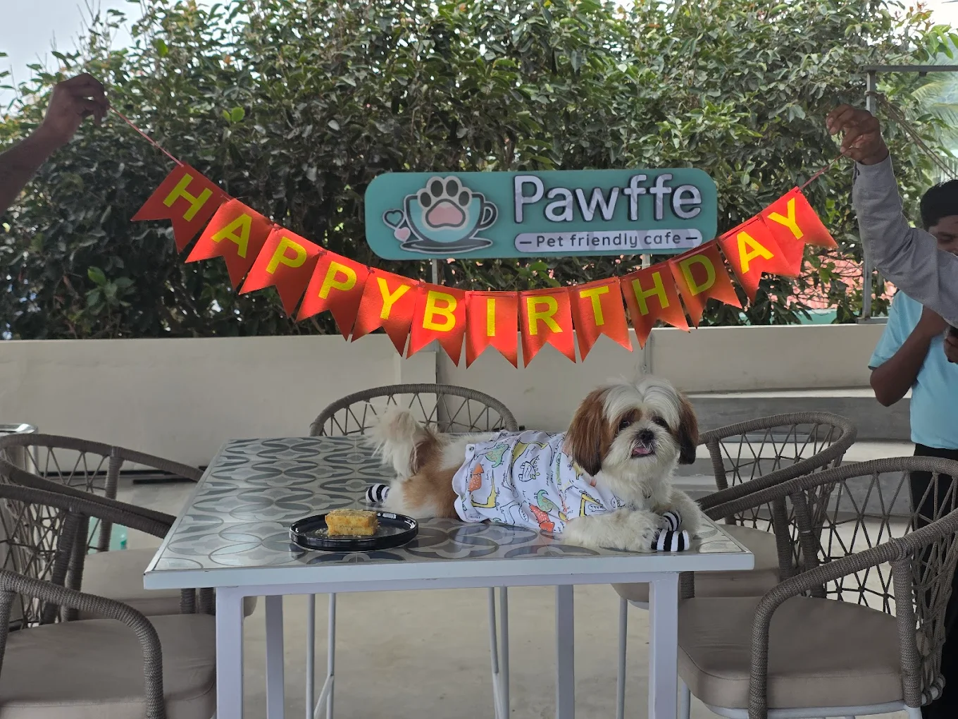 Supertails At-Home Vet Services