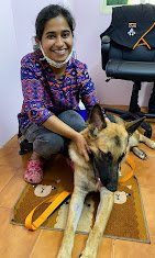 Dr. Paws Vet at Home